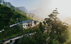 Misty Courtyard Resort